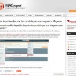 Lancement du site magexpert.com