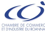 CCI de Roanne