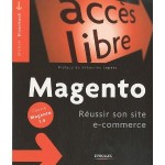 Magento : réussir son site e-commerce