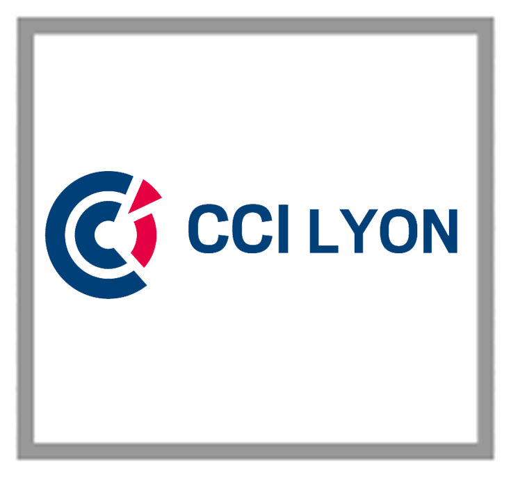 CCI de Lyon